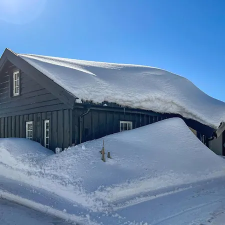 Amazing In With Sauna